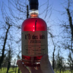 LODES-BOIS-2