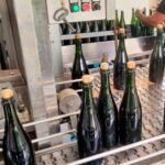Muselage des bouteilles de cidre